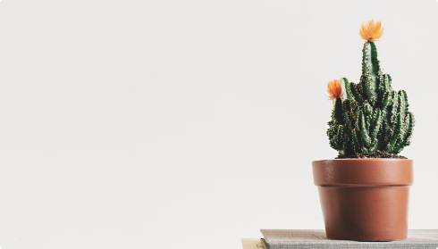 Plant TCM